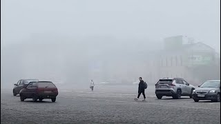 Щільний туман у Харкові приніс теплу погоду