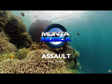 Assault - The Origin