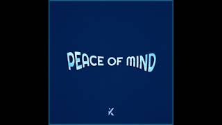 Peace of Mind Music Video