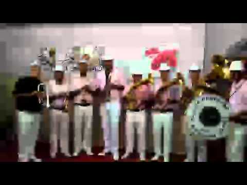 Vesela Druzhina - Pleh Orkestar