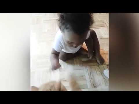 Baby and cat funny 😃