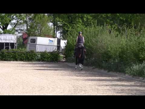 furstenball and Johanna