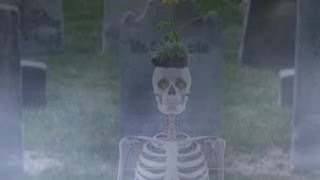 Jehovah&#39;s witnesses and the resurrection of Sodom and Gomorrah - Scans provided