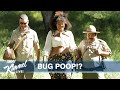 Jimmy Kimmel & Guillermo Go Foraging with the Black Forager