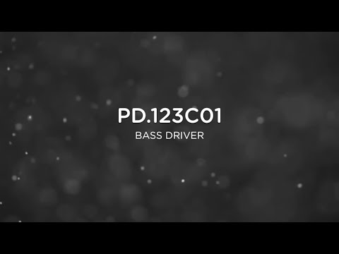 Precision Devices Product Focus - PD.123C01