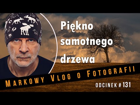 Piękno samotnego drzewa 🌳 Fotografia krajobrazowa 📷 Krótki plener w dolinie Narwi 🔥 Mam nowe filtry