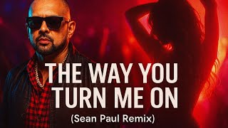 Sean Paul &quot;Way You Turn Me On&quot; Reggae Music Video Remix - All Night Long - Jamaica - Dancehall Music