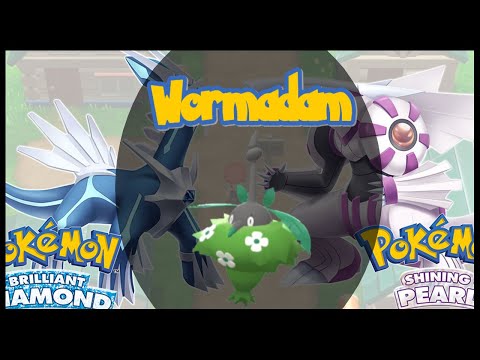 How to see Wormadam - Prometheus Pine