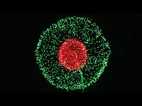 PGI ALL STARS DISPLAY (SHELLS 100% BUILT IN USA)