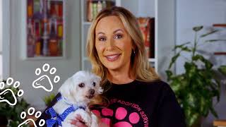 pacc911.org - Breeder Release Adoption Service