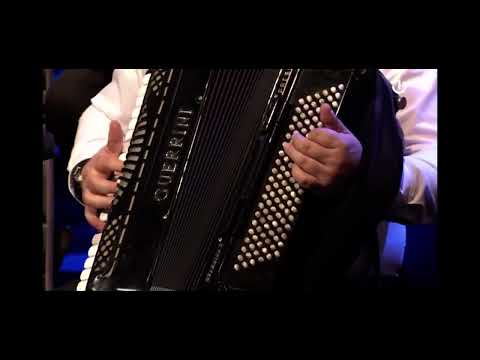 Haris Dzananovic - Malo je malo dana - BHT1 - LIVE - (Tamburasi i Vi)