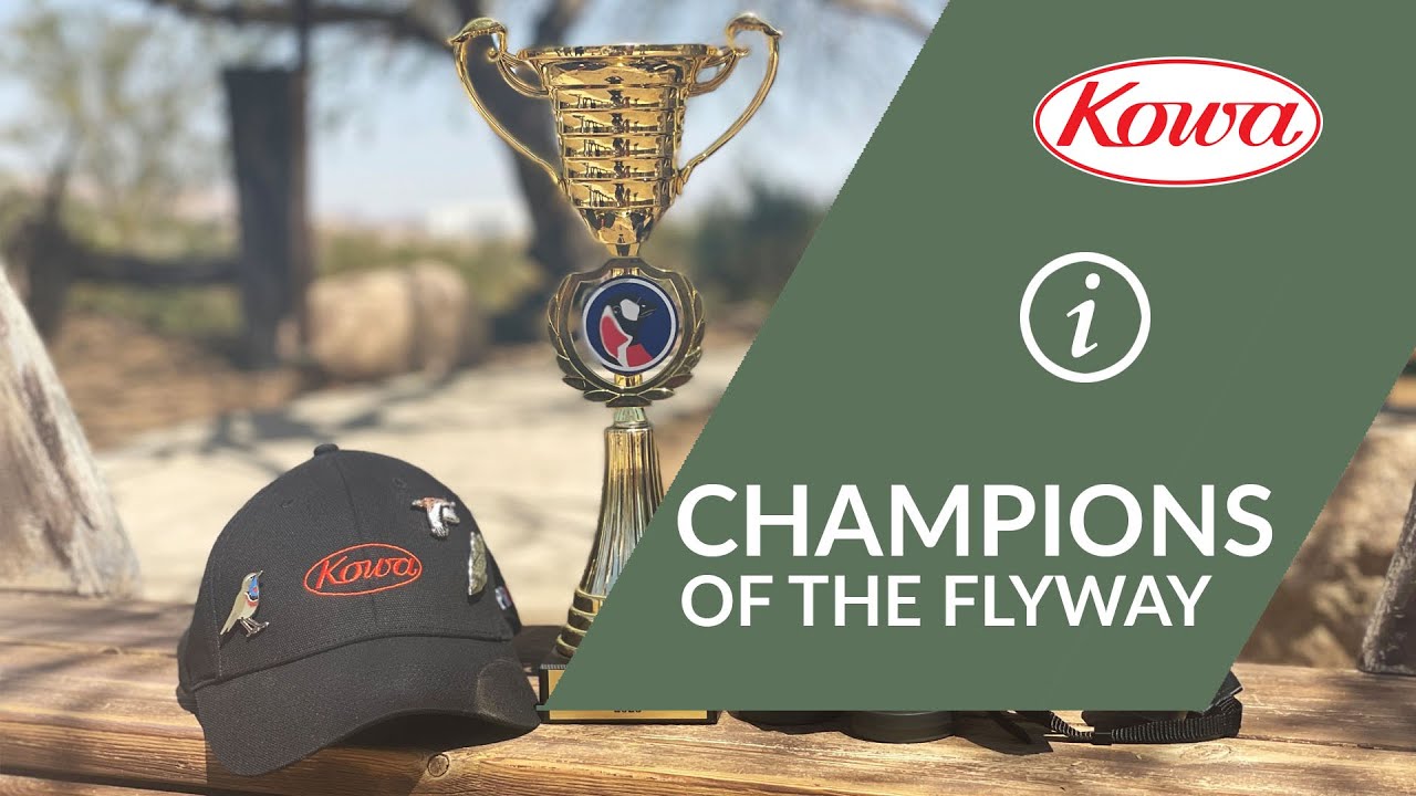 The Champions of the Flyway - a Global Bird Race for Conservation!