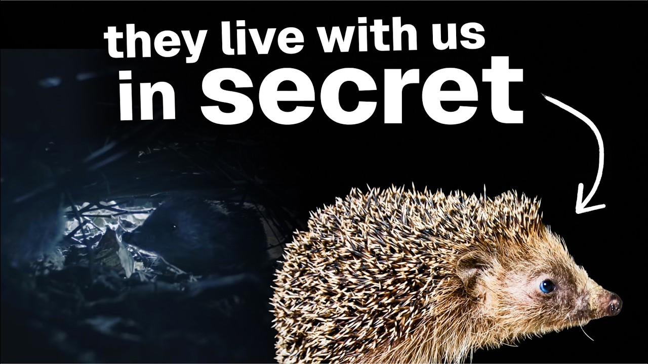 The Secret Life of Insects and Animals in Our Gardens | Full Nature Documentary