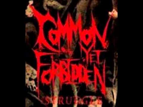 Common Yet Forbidden - Riff List (Instrumental)
