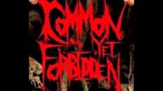 Common Yet Forbidden - Riff List (Instrumental)