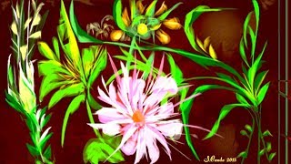 Creation.The flower.Music of G.Allevi.