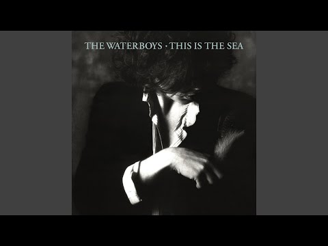 The Waves (2004 Remaster)