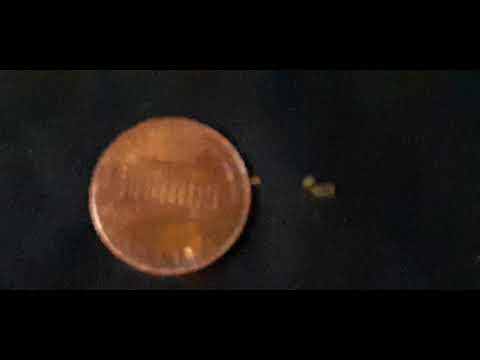 2.47g gold penny 2006 d penny discovered has 2 extra columns any ideas