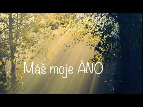Máš moje ÁNO (pieseň)
