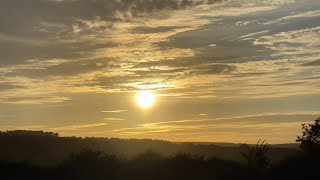 Holding the Goldprint