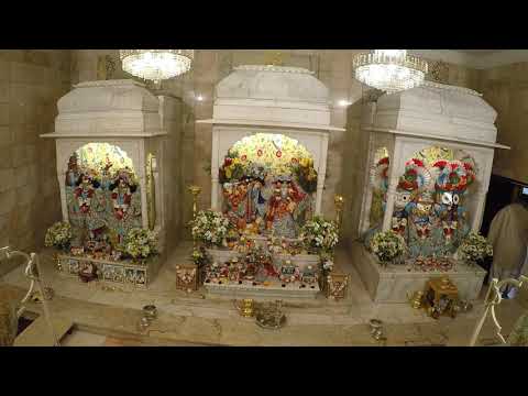 Morning Class SB 6.3.1 - HG Prabhava Prabhu - 25 January 2022