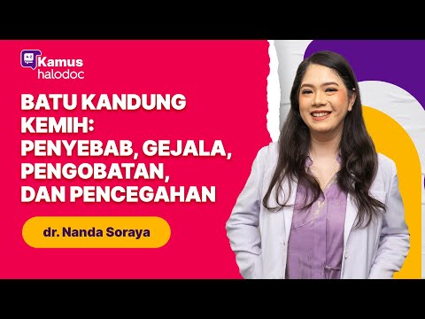 Bladder Stones: Causes, Symptoms, Treatment, and Prevention