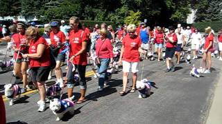 preview picture of video 'Westie parade in Wayzata, MN Sept. 11, 2011'
