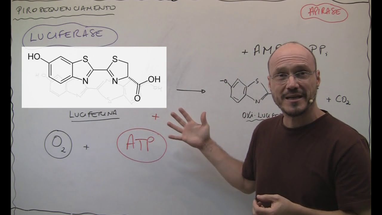 Biomol - UnB - Aula 23 - O princípio do pirosequenciamento
