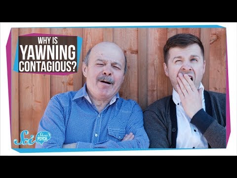 Why Is Yawning Contagious?