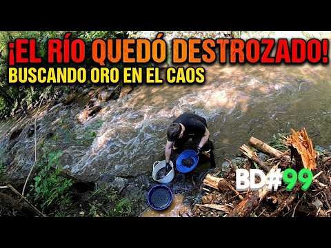 El ORO no es tan Raro Como se Cree — Así lo Pisa la Gente sin Saberlo