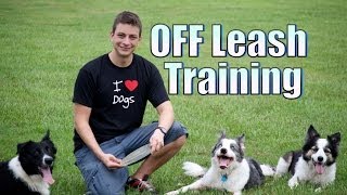Do you want your dog to stay with you off leash?