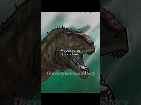 The Carcharadontosaurids were massive 😱 #dinosaur #prehistoric #carcharodontosaurus #giganotosaurus