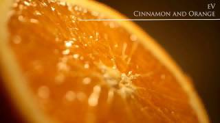16 - Coney Island - Burnin 4 U (Vocal Mix) - [eV - Cinnamon and Orange]