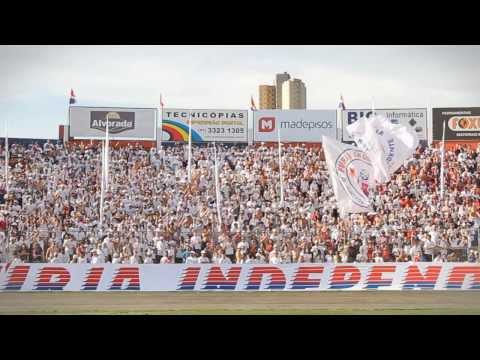 Fúria 20 Anos no Peito e na Raça!