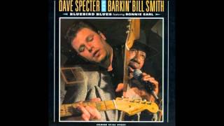 Dave Specter - Bluebird Blues