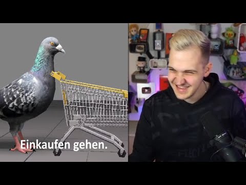 Huebi reagiert auf eine Taube im Supermarkt