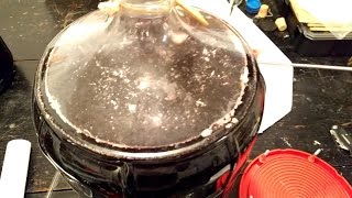 White Film on Your Wine - How to Solve it and What it is