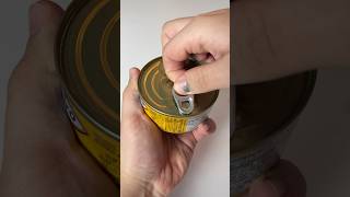 VOCÊ ABRIU A LATINHA DE ATUM DO JEITO ERRADO A VIDA INTEIRA