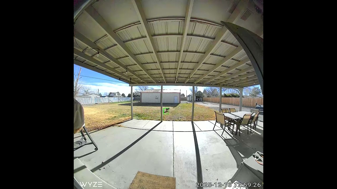 Wyze Battery Video Doorbell sample - Daytime 1 - YouTube