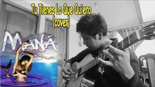 Maná-Tu tienes lo que Quiero (Sologuitar)