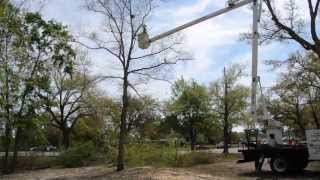 preview picture of video 'Bucket Truck Tree Trimming Services in City of Diamondhead, MS'