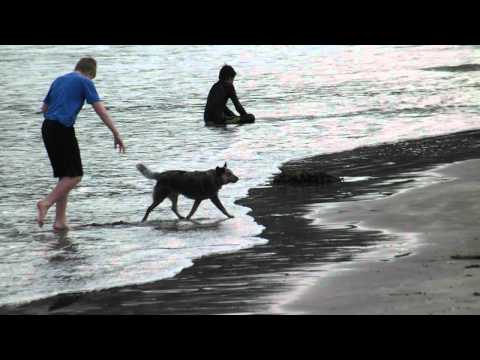 FujiFilm Finepix S2980: Test Video 1
