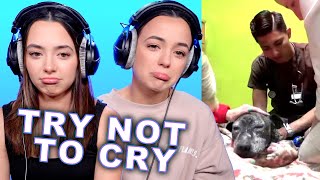 Try Not To Cry Challenge (Emotional) - Merrell Twi