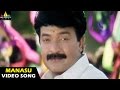 Suryudu Songs Manasu Mamatha Video Song Rajasekhar Soundarya Sri Balaji Video