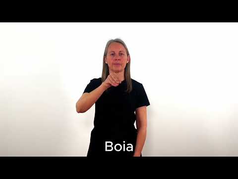 Boia - LSC