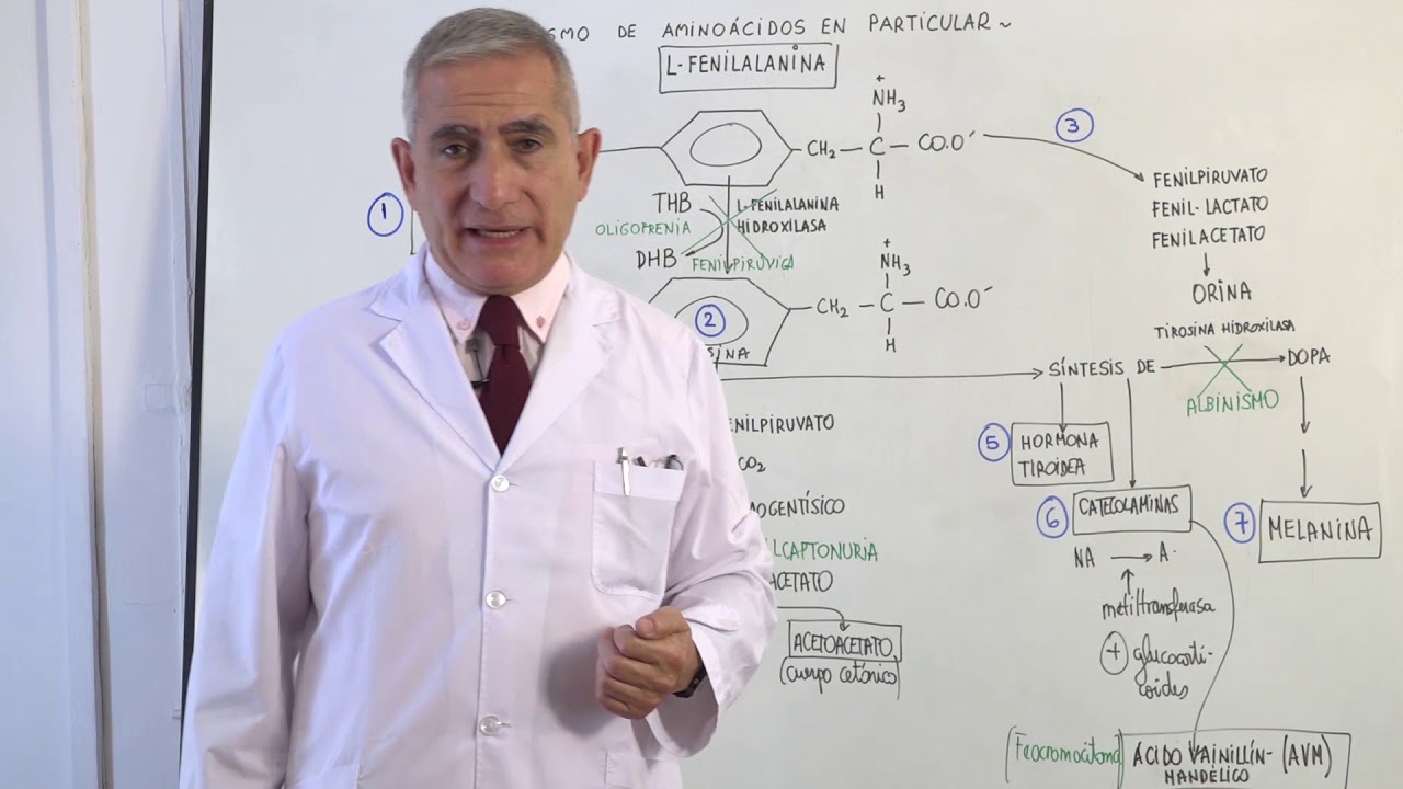 METABOLISMO DE AMINOACIDOS EN PARTICULAR