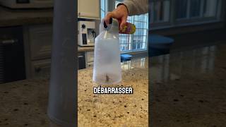 Comment Se Débarrasser Des Cafards