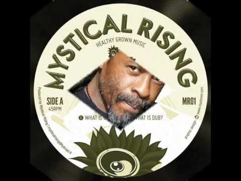 Errol Bellot - What is going on?  +  Prince Terralox  -  Terror