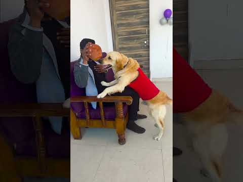 क्यों गिराया मेरे डॉगी ने मुझे आज फिर से😱 #funnydogs #shorts