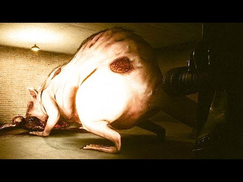 Neue EBENE des BACKROOMS macht mich IRRE - Inside The Backrooms Full Gameplay Deutsch